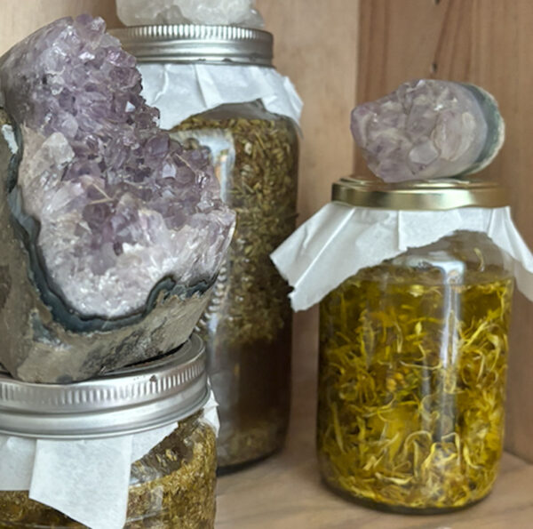 BIM-balm (bálsamo nutritivo botánico para nariz y almohadillas) - Imagen 3